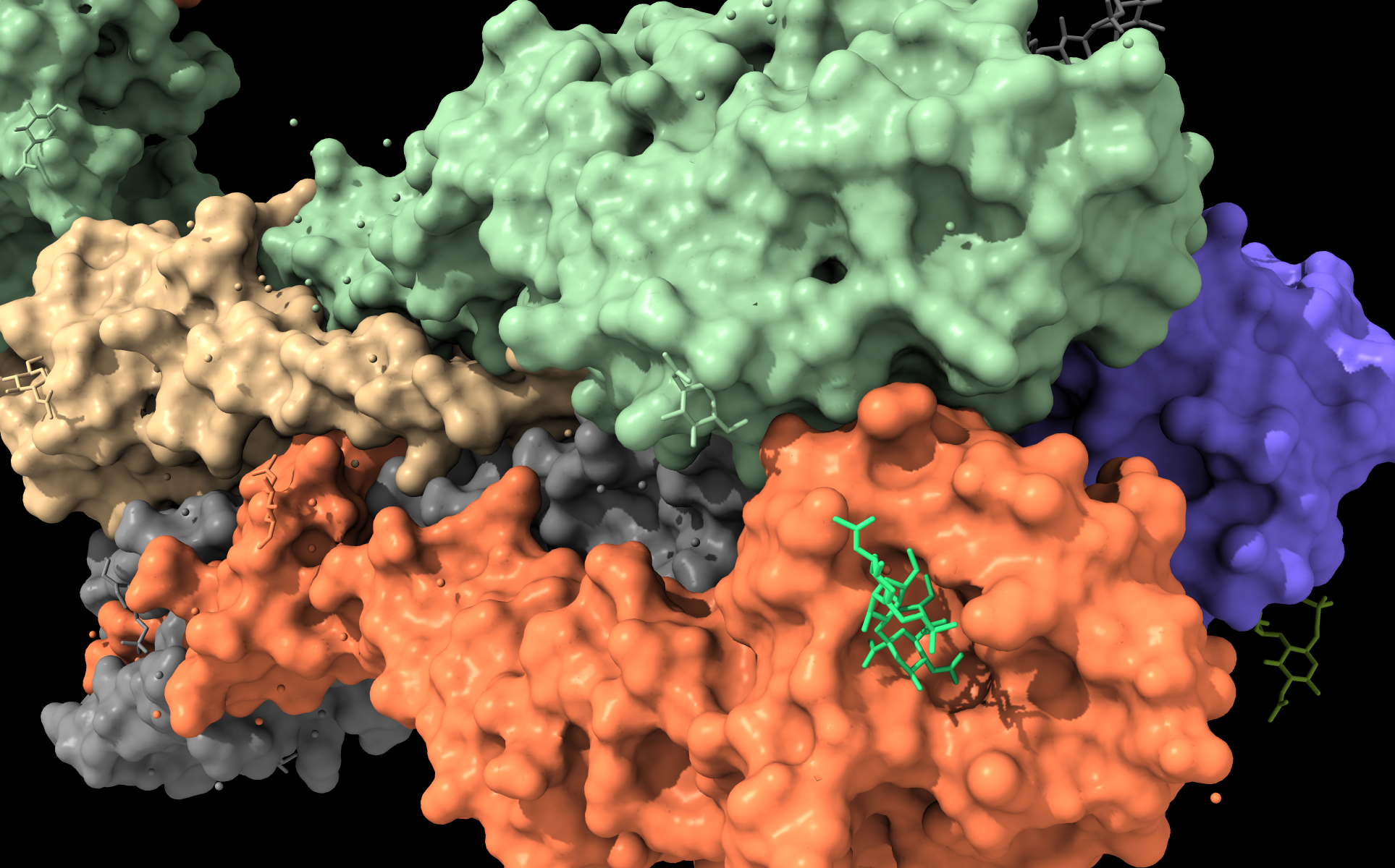 Connecting the Vietnamese biophysics community