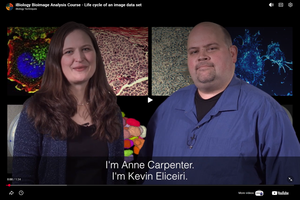 Bioimage Analysis Course: The Life Cycle of an Image Data Set