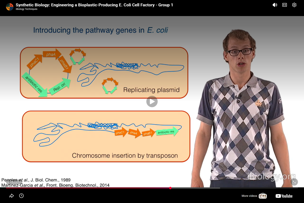 Biodegradable Plastic: Engineering a Bioplastic Producing E. Coli Cell Factory