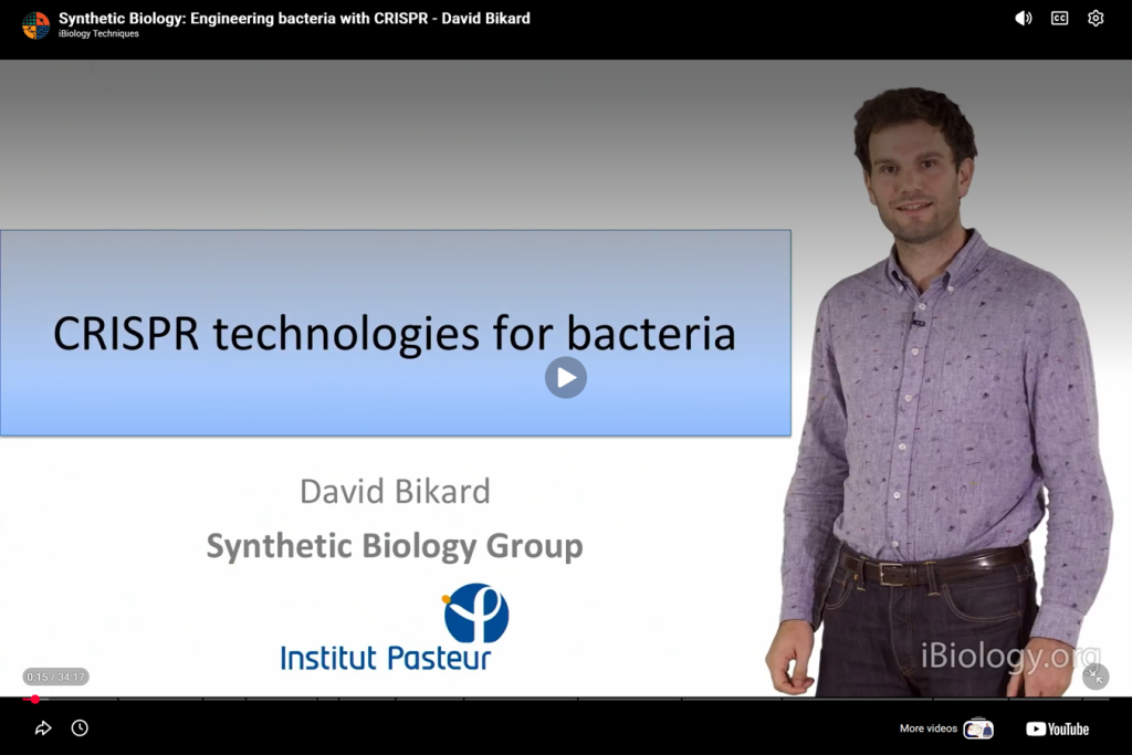 Engineering bacteria with CRISPR – David Bikard