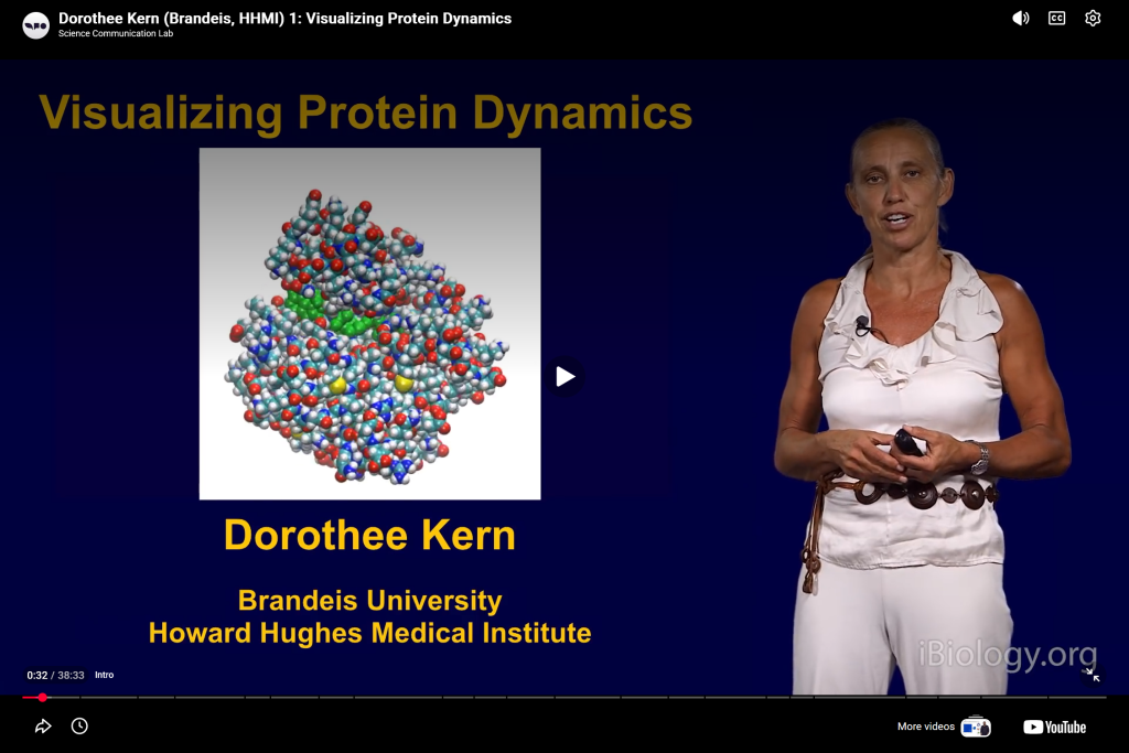 Visualizing Protein Dynamics