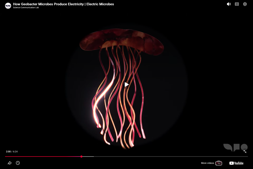 How Geobacter Microbes Produce Electricity