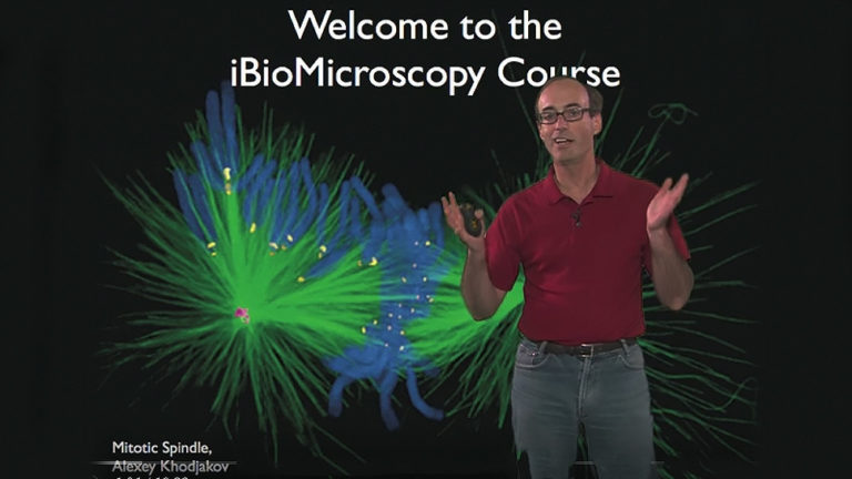 Short Microscopy Series
