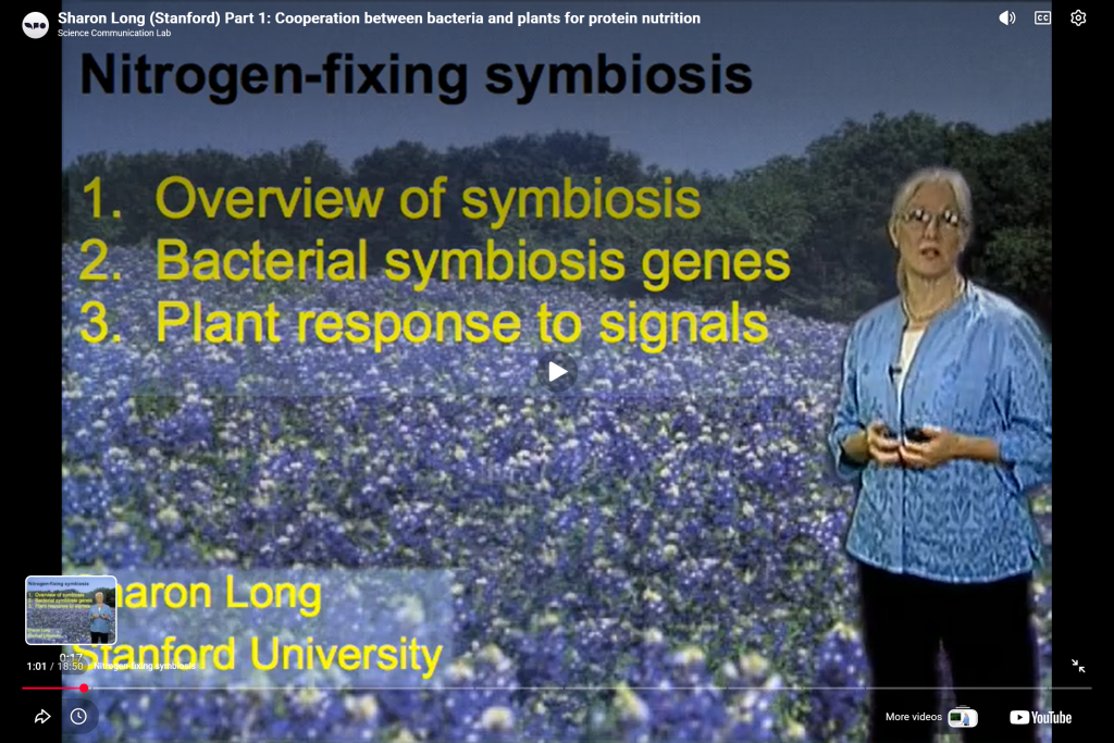 Nitrogen Fixing Bacteria: Symbiosis between Bacteria and Plants for Protein Nutrition