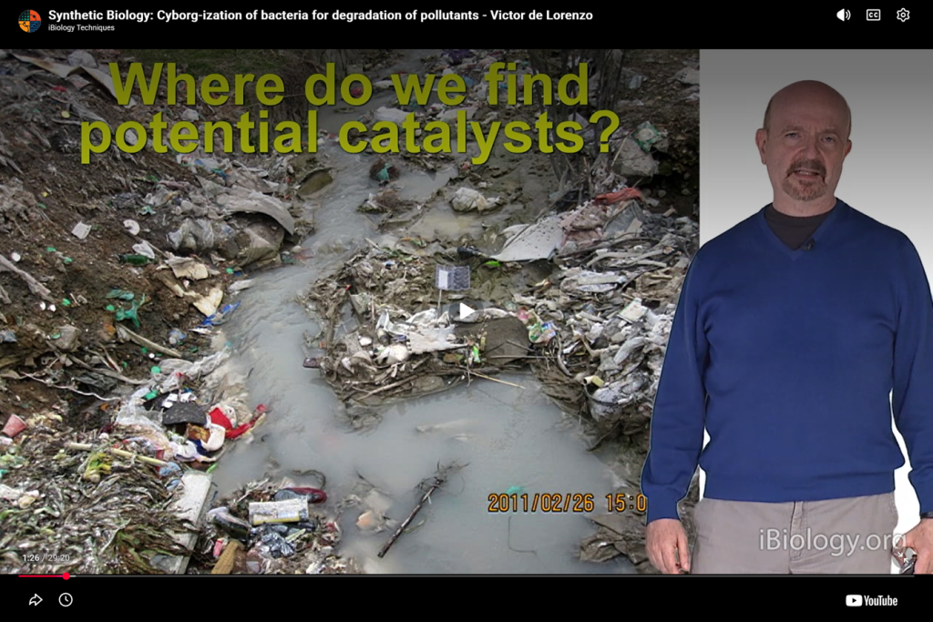 Bioremediation: Cyborg-ization of Soil Bacteria for Smart Degradation of Environmental Pollutants